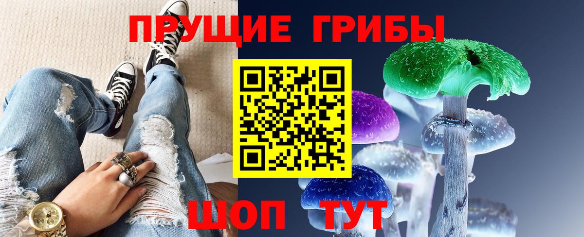Галлюциногенные грибы Psilocybe Мытищи