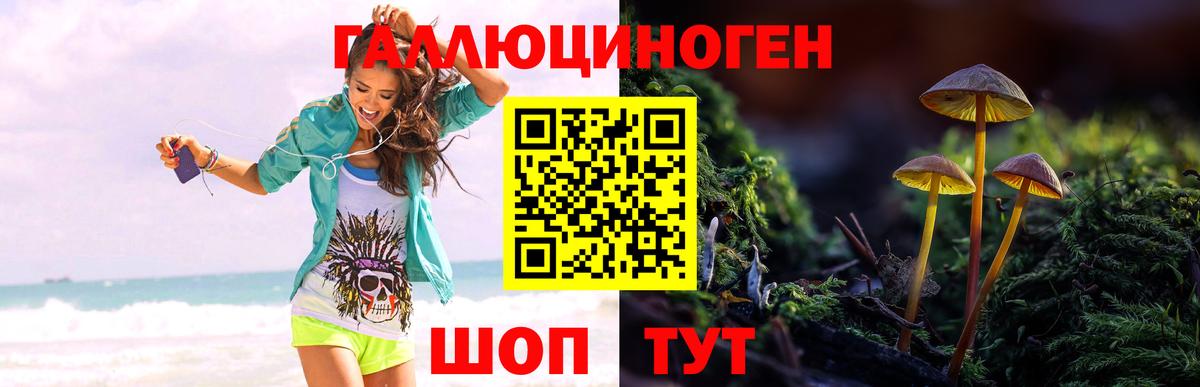 Галлюциногенные грибы мухоморы  Псилоцибиновые грибы мицелий  Вход с VPN  Мытищи 